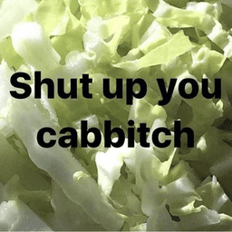 cabbitch