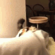 angry_kitty