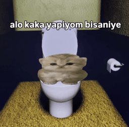 kaka