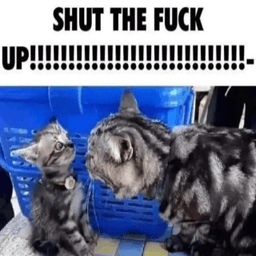 Shut up