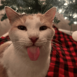 Bleh