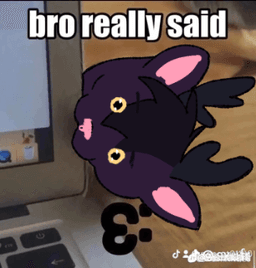 bro really said :3 .gg/durr