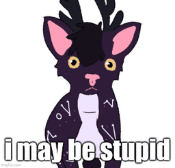 I may be stupid .gg/durr