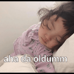 dp_wilcom_oldum