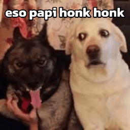 eso papi honk honk