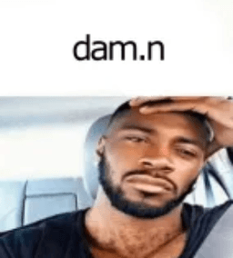 dam.n