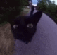 sniff (.gg/violett)