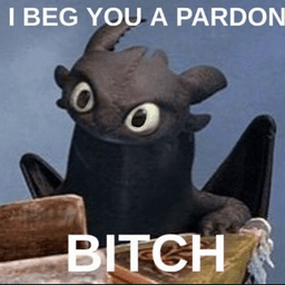 Bitch
