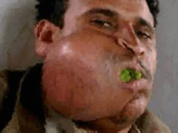 جرجير 2