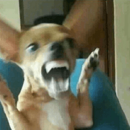 Carajo .gg/prettydoll