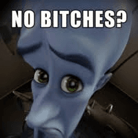 No Bitches?