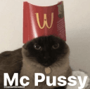 mc pussy