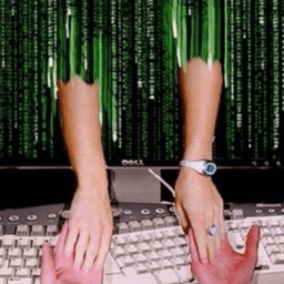 Discord dating