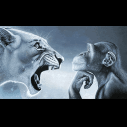 Lion and monkey
