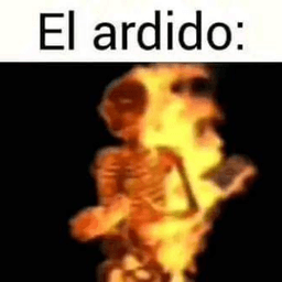 EL ARDIDO: