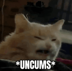 UNCUMS