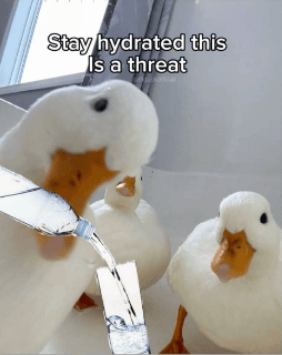 Duck Hydrate