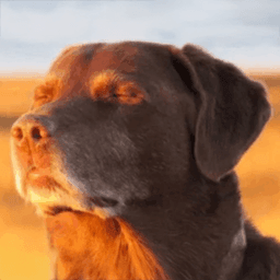 namaste