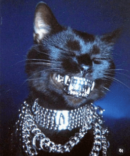 cat grill