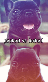 Gee vs Locked Washington