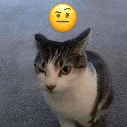 *procede a juzgarte*