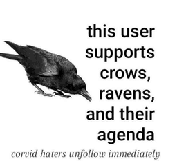 corvid agenda