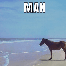 MAN horse