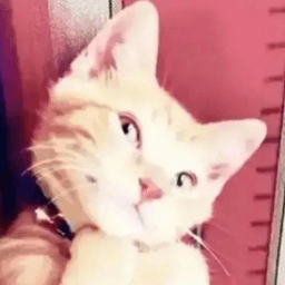 When hubby erps on my derp