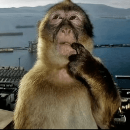 Monkey think