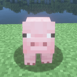 piggy