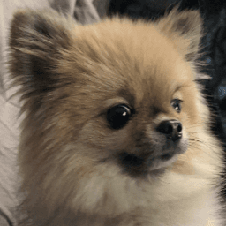 WhatTheyDoingOverThere