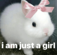 irlcassiepic gg/lustlore