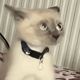 What you trynna get into????