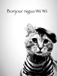 Bonjur nigua Wii Wii