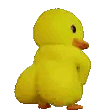 duckbooty