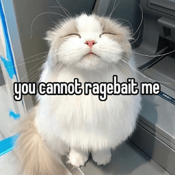 Cat ragebait 