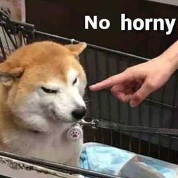 No horny