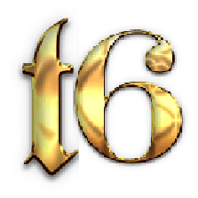 T6