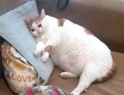 :sad-love: