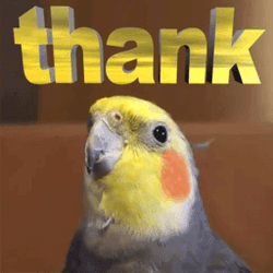 birb thank