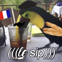 birb lesip