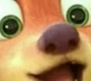 o 