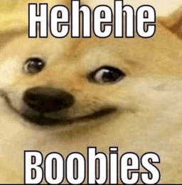 boobies