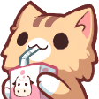 Cat Sip