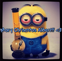 albert