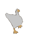 DuckVibin
