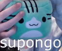supongo
