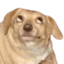 ay