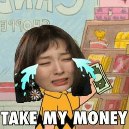 SeulgiTakeMyMoney