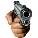 Gun
